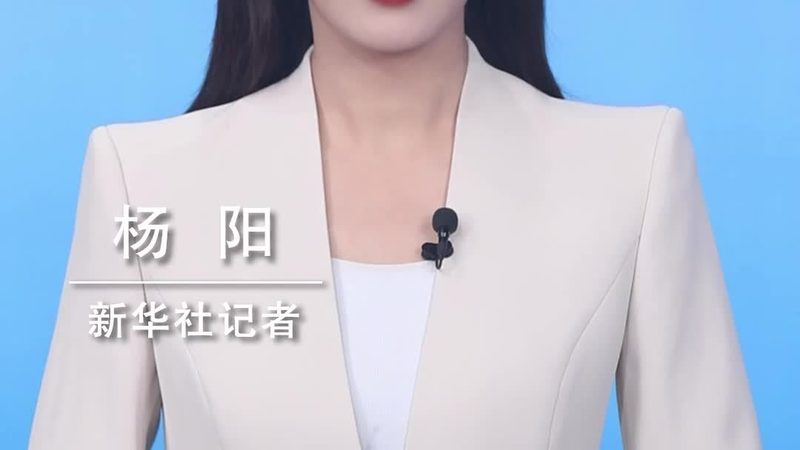 软件测试实战：揭秘高效项目管理的五大关键步骤**